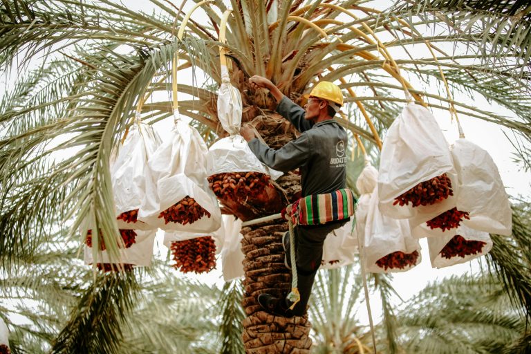 Header - Saudi Worker