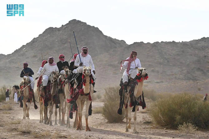 Header, Tradisi Hajjanah di Tabuk (Sumber SPA)