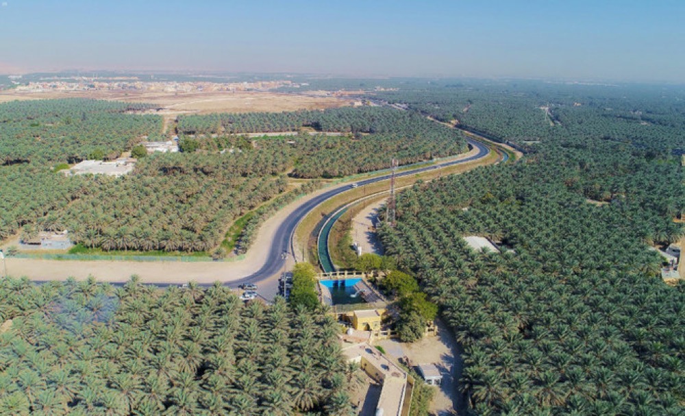 header, Arab Sadui sebagai Produsen Kurma Terbesar Kedua di Dunia