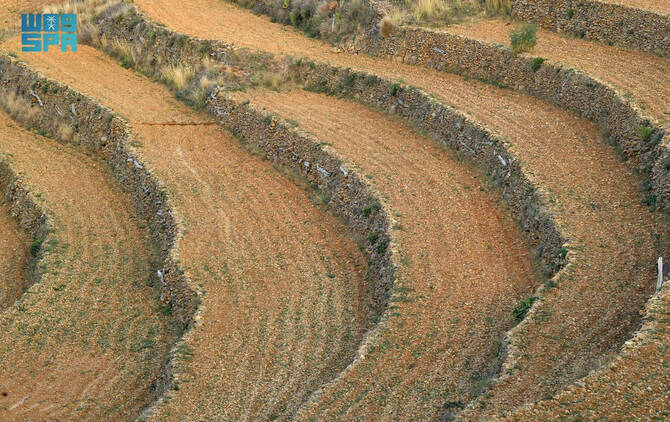 header, Pertanian Tersaering di Daerah Asir (Sumber SPA)