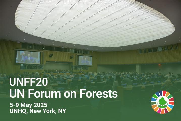 header, UN Forum on Forest 20 di Markas Besar PBB - New York 5 - 9 May 2025 (Sumber un.org)