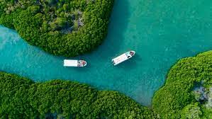 farasan island