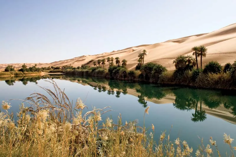oasis saudi arabia