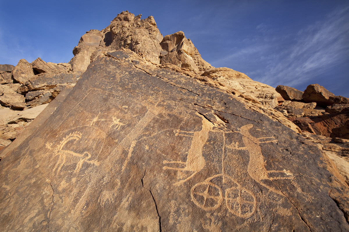 Chariot-and-horses-Jubbah