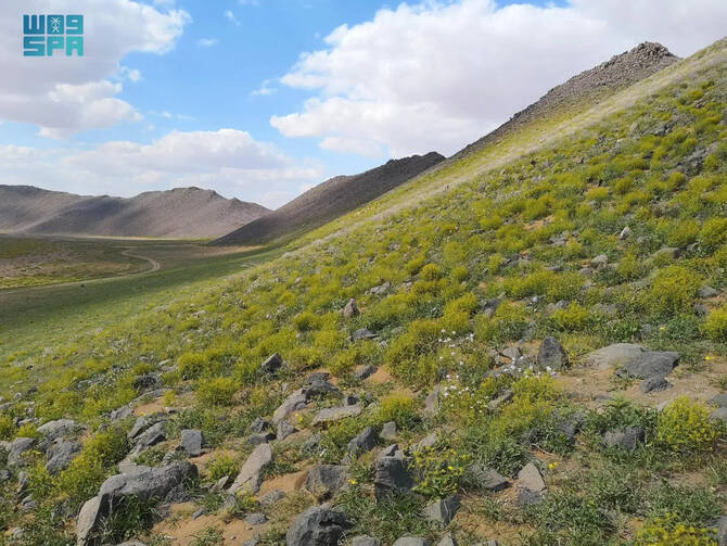 header, Upaya Restorasi dan Rehabilitasi Lahan Mencegah Penggurunan (Sumber SPA)