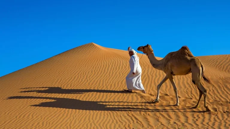 Nafud Desert