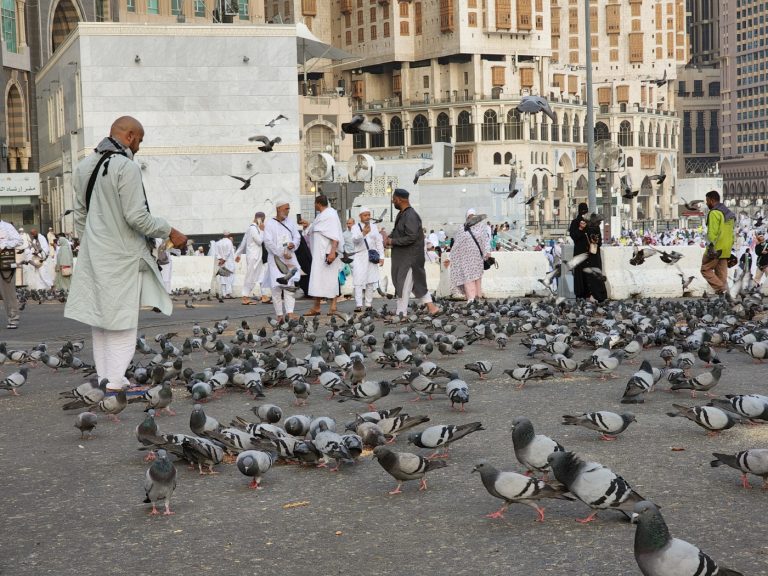 Daily life in Mecca
