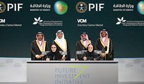 Regional Voluntary Carbon Market
