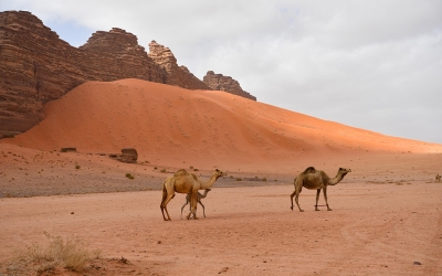 Hisma Desert