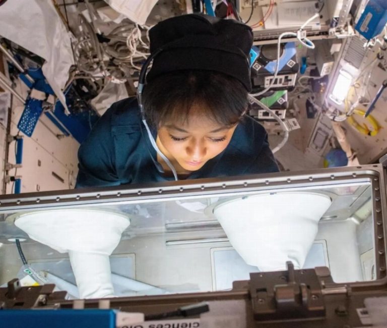 header, Astronot Saudi Rayyanah Barnawi melakukan riset di International Space Station (Sumber Saudi Gazette)