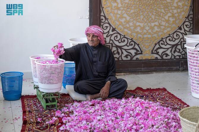 header, Bagian dari Rangkaian Panen Mawar di Taif saat Musim Semi (Sumber SPA)