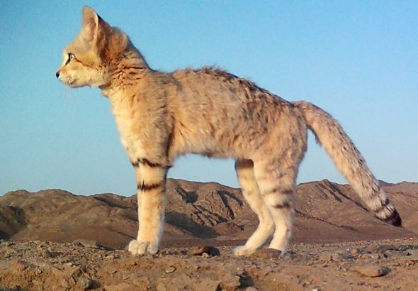 Untitled (600 x 400 px) - 1