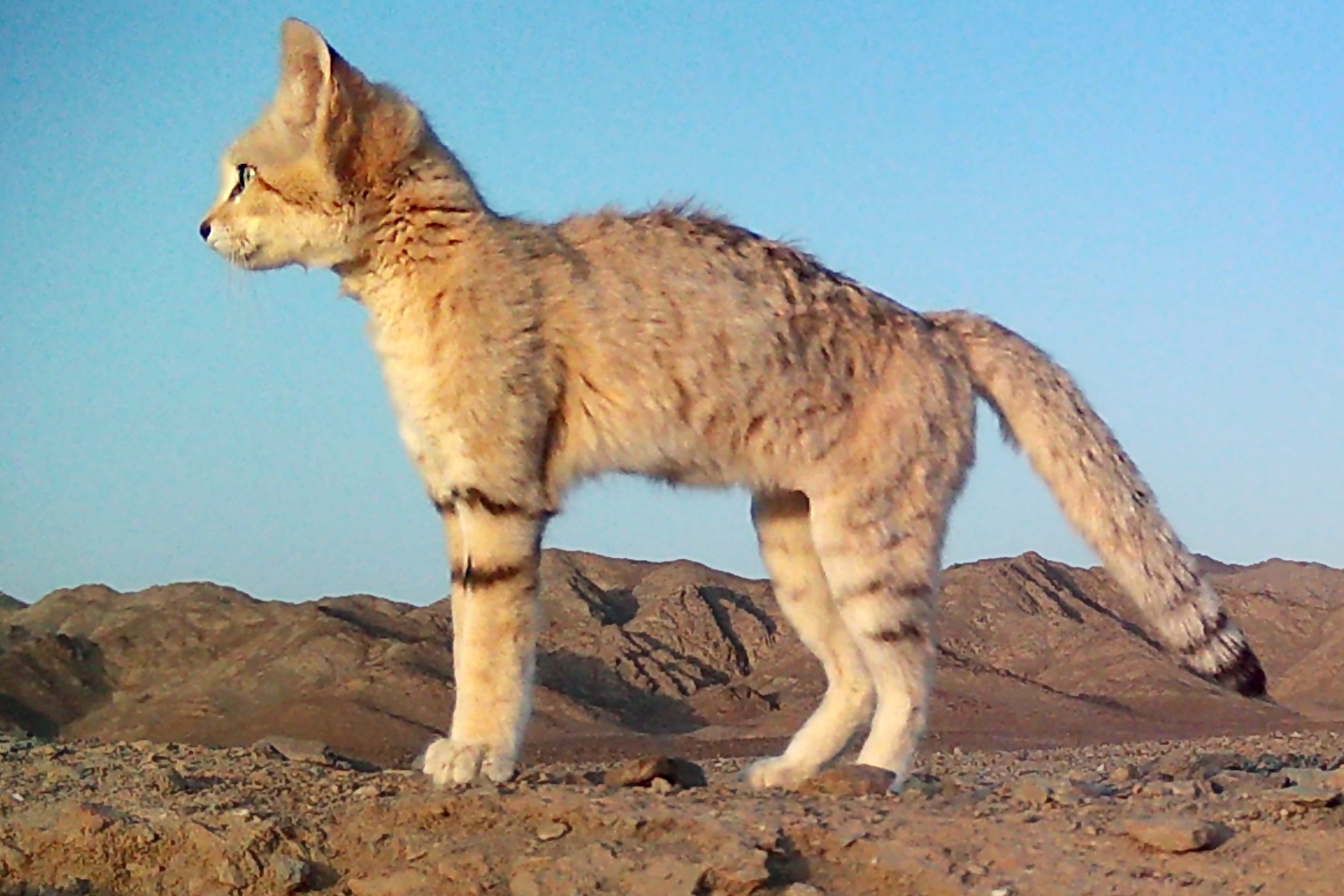 Untitled (600 x 400 px) - 1