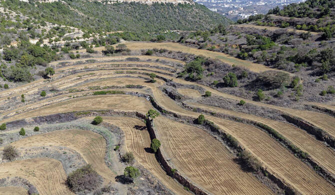 header, Lahan Pertanian di Asir (Sumber Arab News).jpg