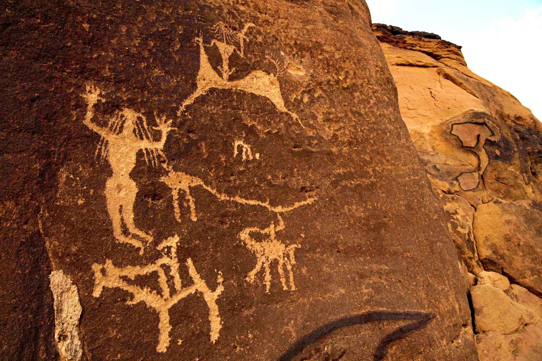 hima cultural