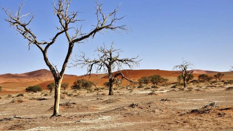 header, Ilustrasi Desertifikasi (Sumber earth.org)