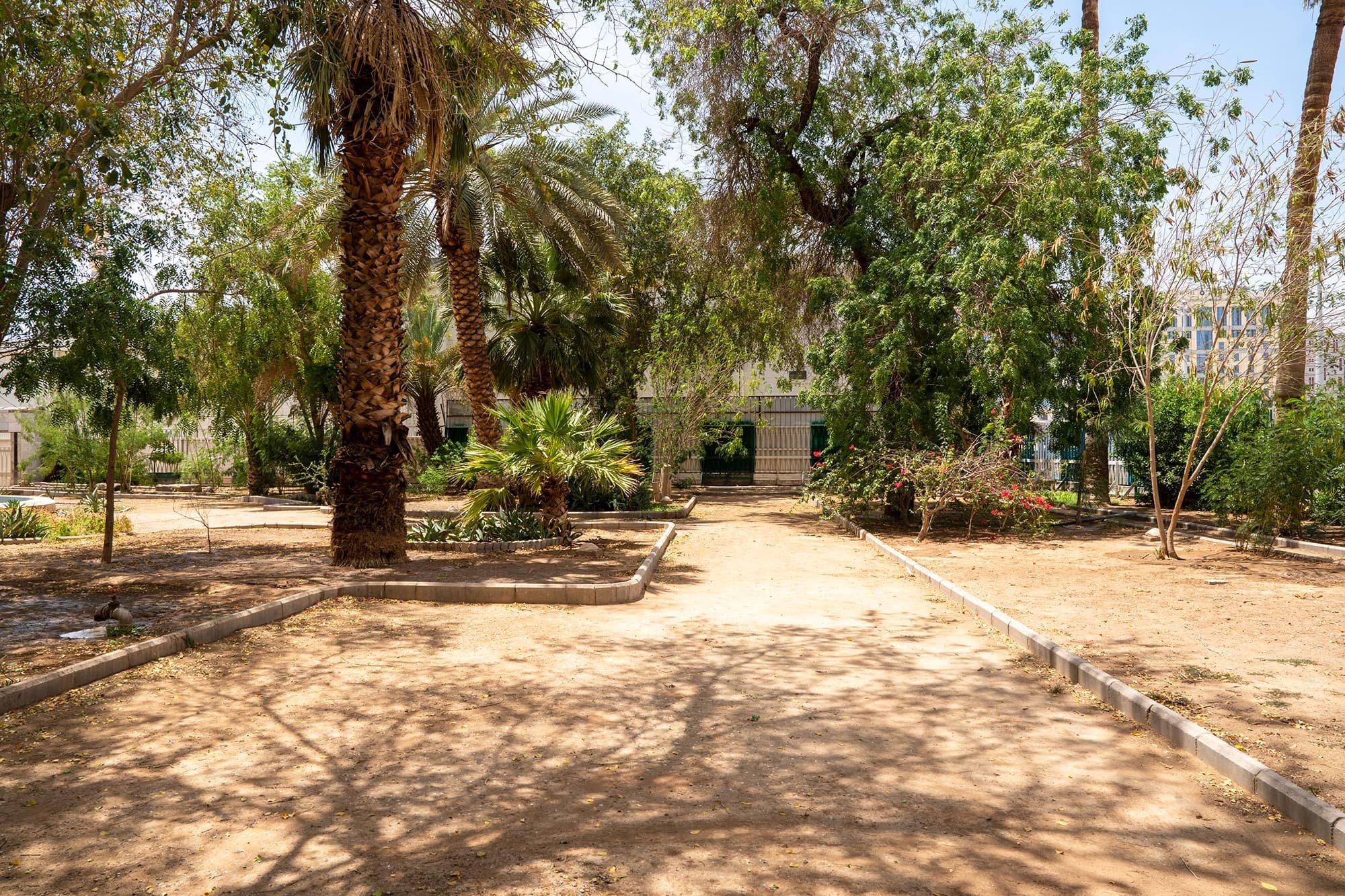 tasqifah bani saidah