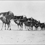 sejarah ekonomi saudi