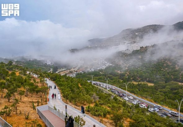header, Suasana Hijau di Al-Baha (Sumber SPA)