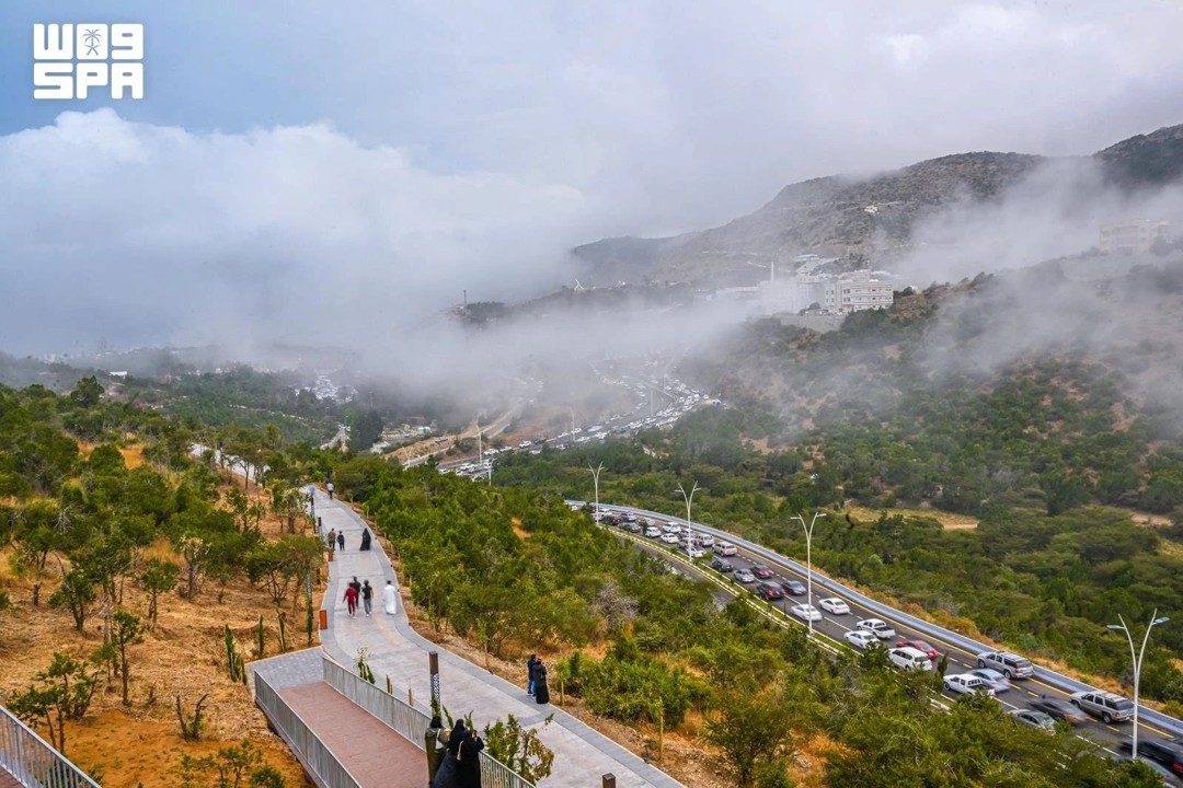 header, Suasana Hijau di Al-Baha (Sumber SPA)