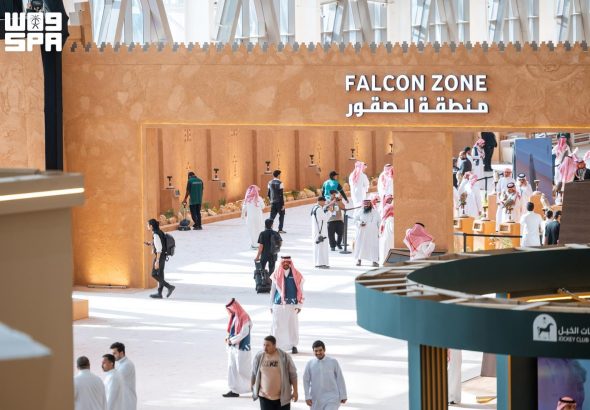 saudi falcon