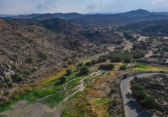 taif2