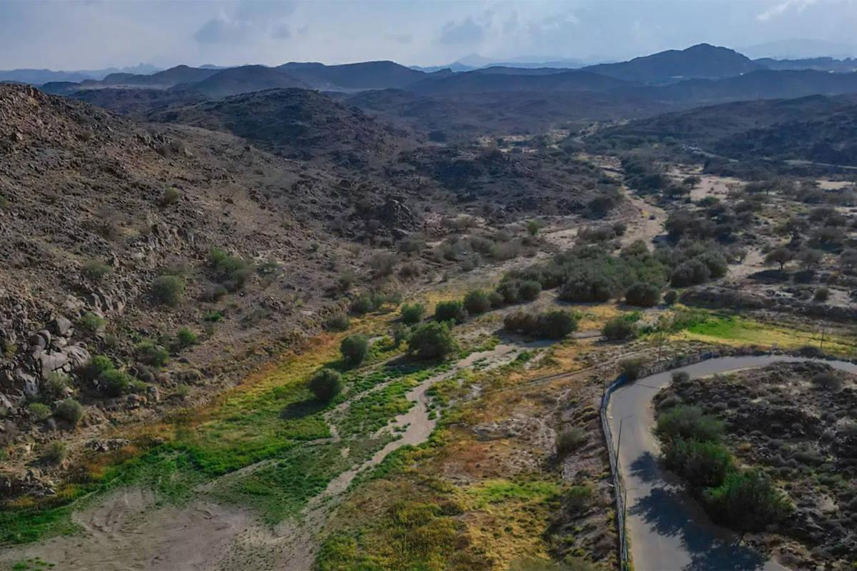taif2